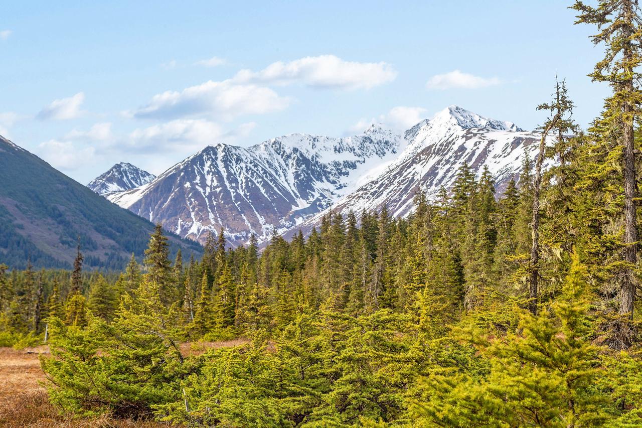 Skiview #103 Girdwood Exterior photo
